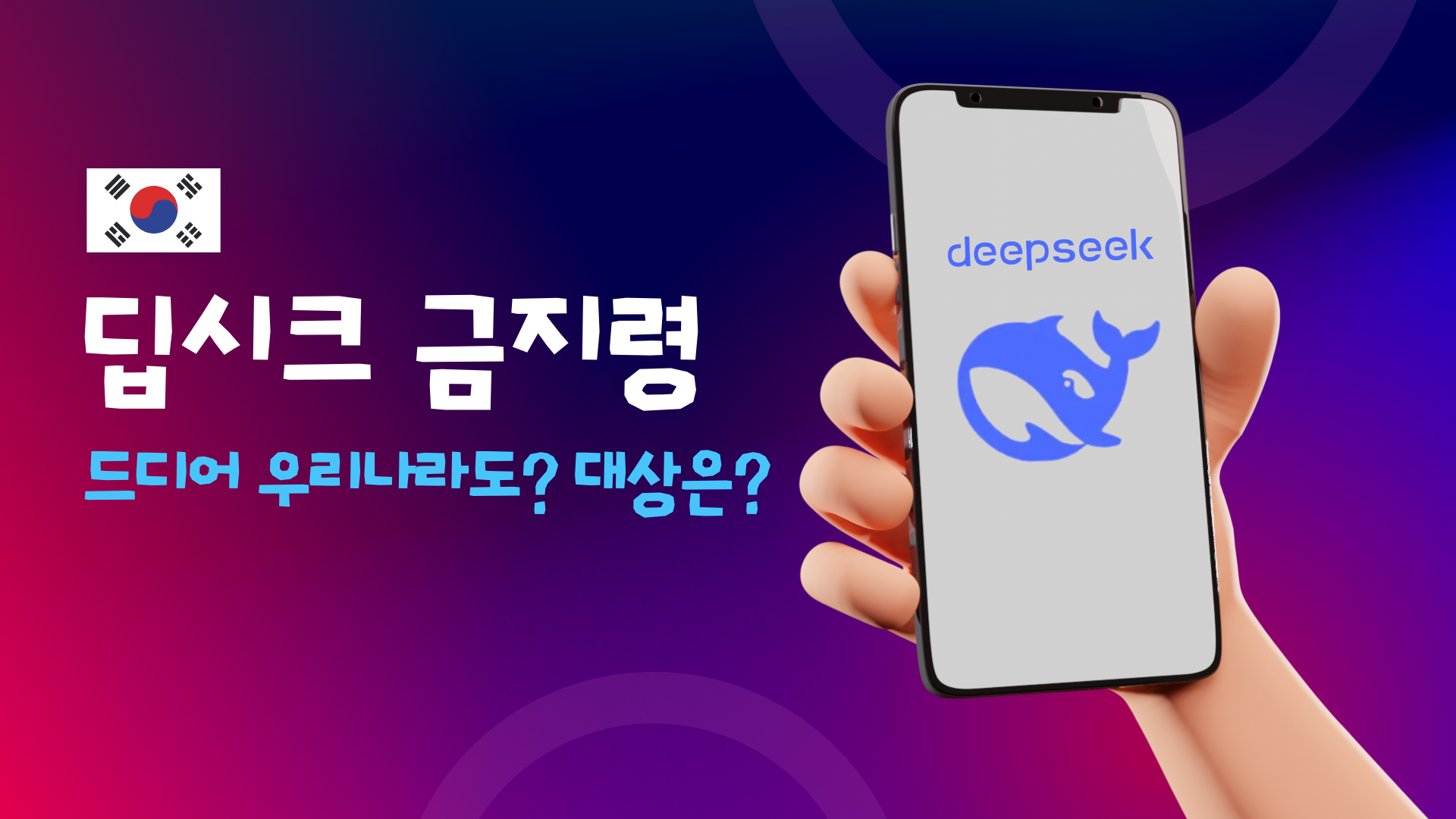 우리나라 딥시크 금지령