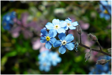가장 중요한 것은 &lsquo;타인의 시선&rsquo;보다 &lsquo;나의 감정&rsquo;에 더 집중하는 것입니다.