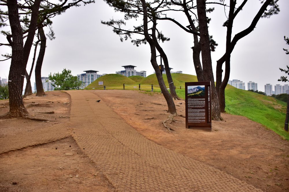 연산동 고분군 입구