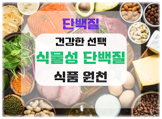 식물성 단백질의 모든 것: 건강한 선택과 식품 원천