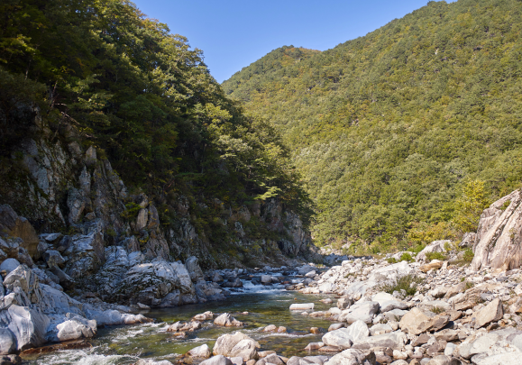 울진 가볼만한곳 베스트10