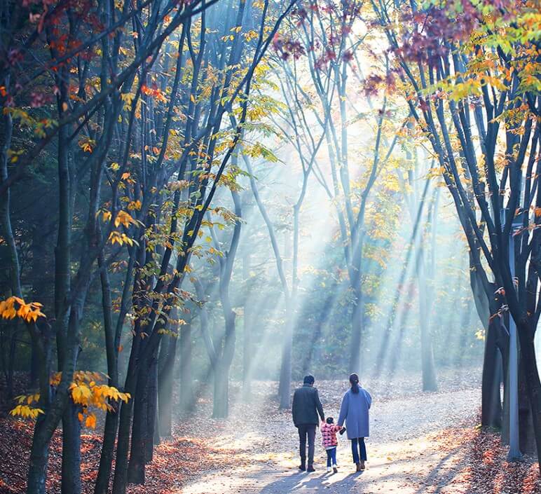 가을 단풍 명소 추천