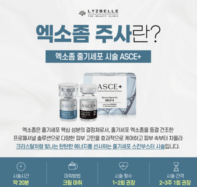 엑소좀