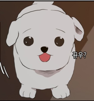 오늘도 사랑스럽개 정리