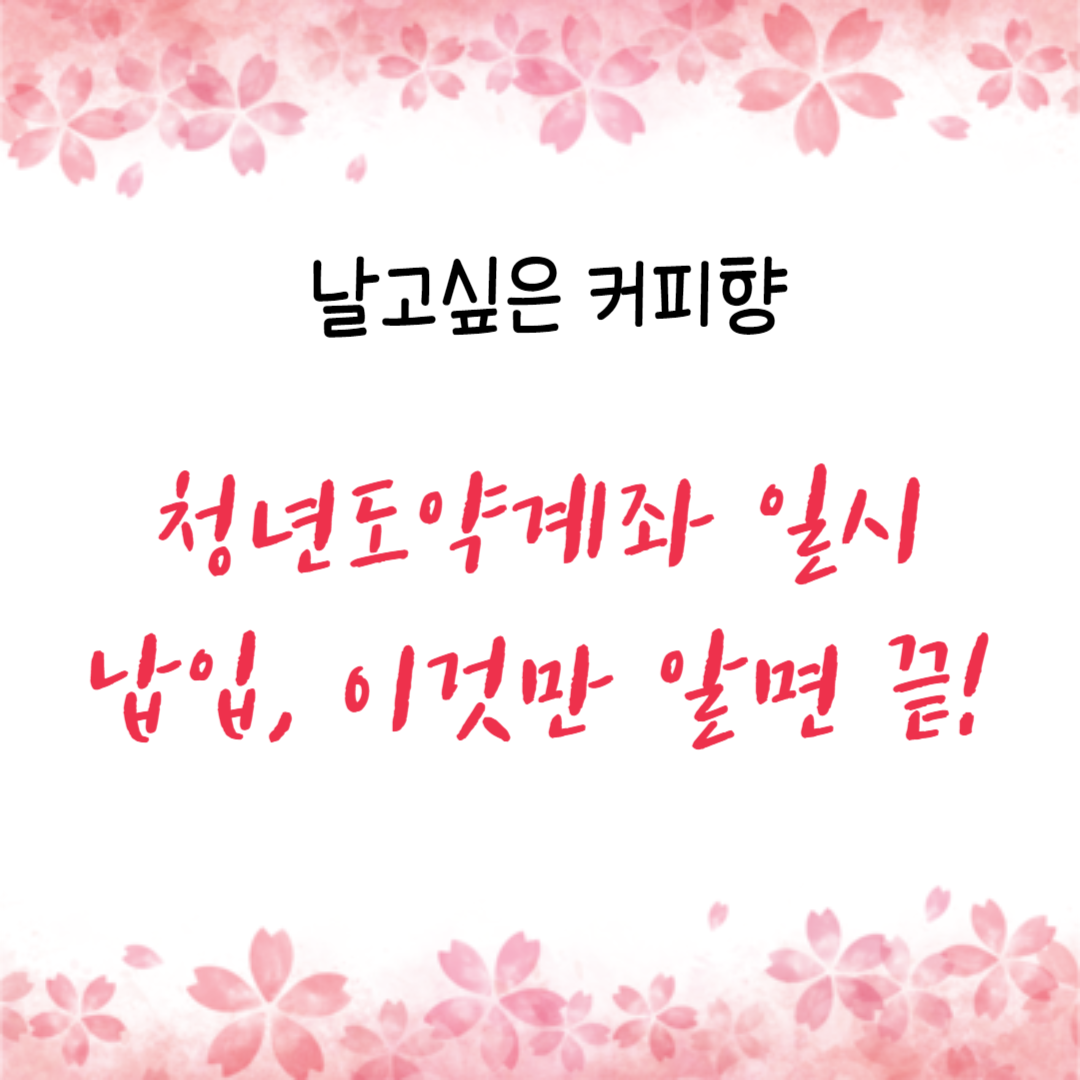 청년도약계좌 일시납입