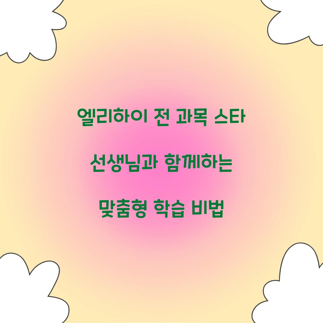 엘리하이 전 과목 스타 선생님