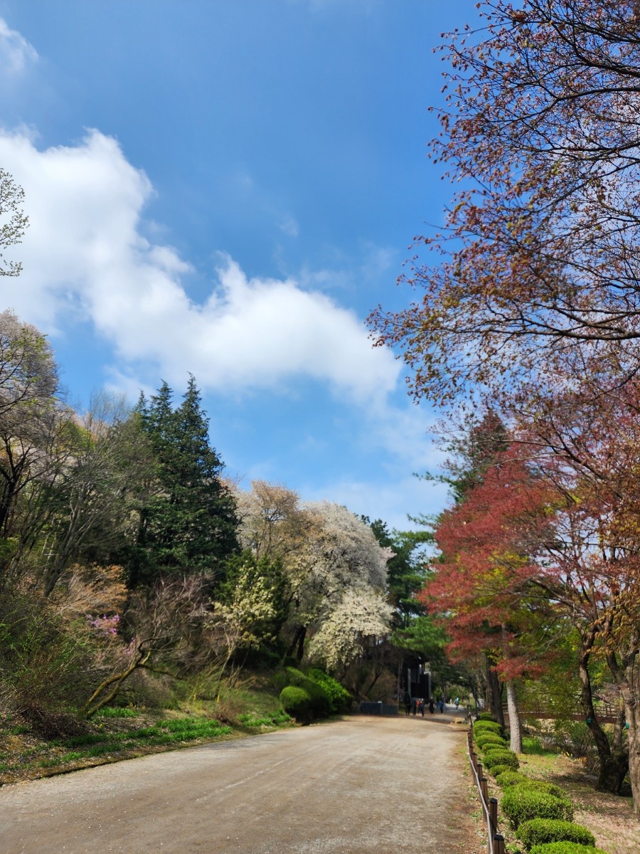 안양 수목원 이미지 사진