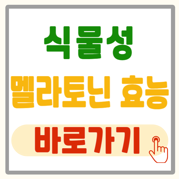 식물성 멜라토닌 효능 5분 만에 총정리!