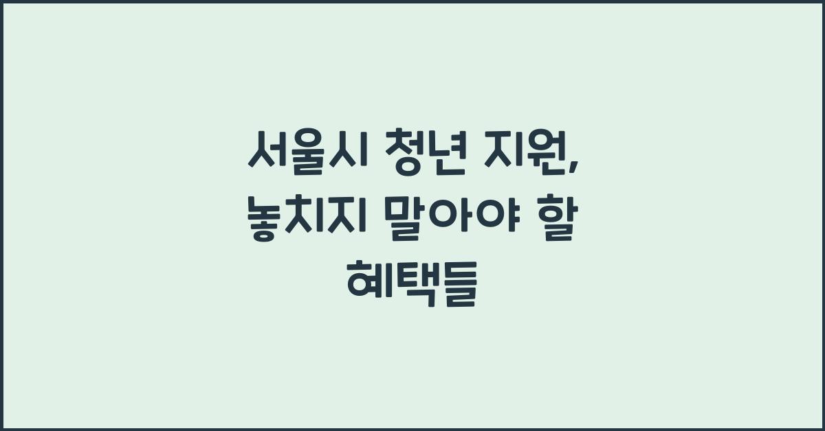 서울시 청년 지원