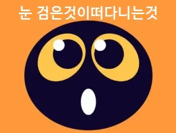 눈 검은것이떠다니는것 어떤 현상
