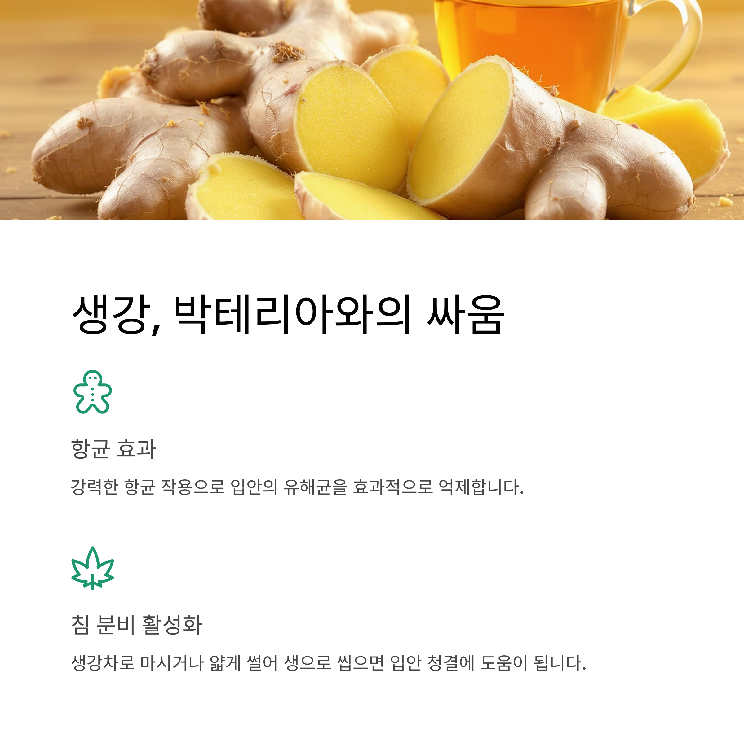 생강 박테리아와 싸움