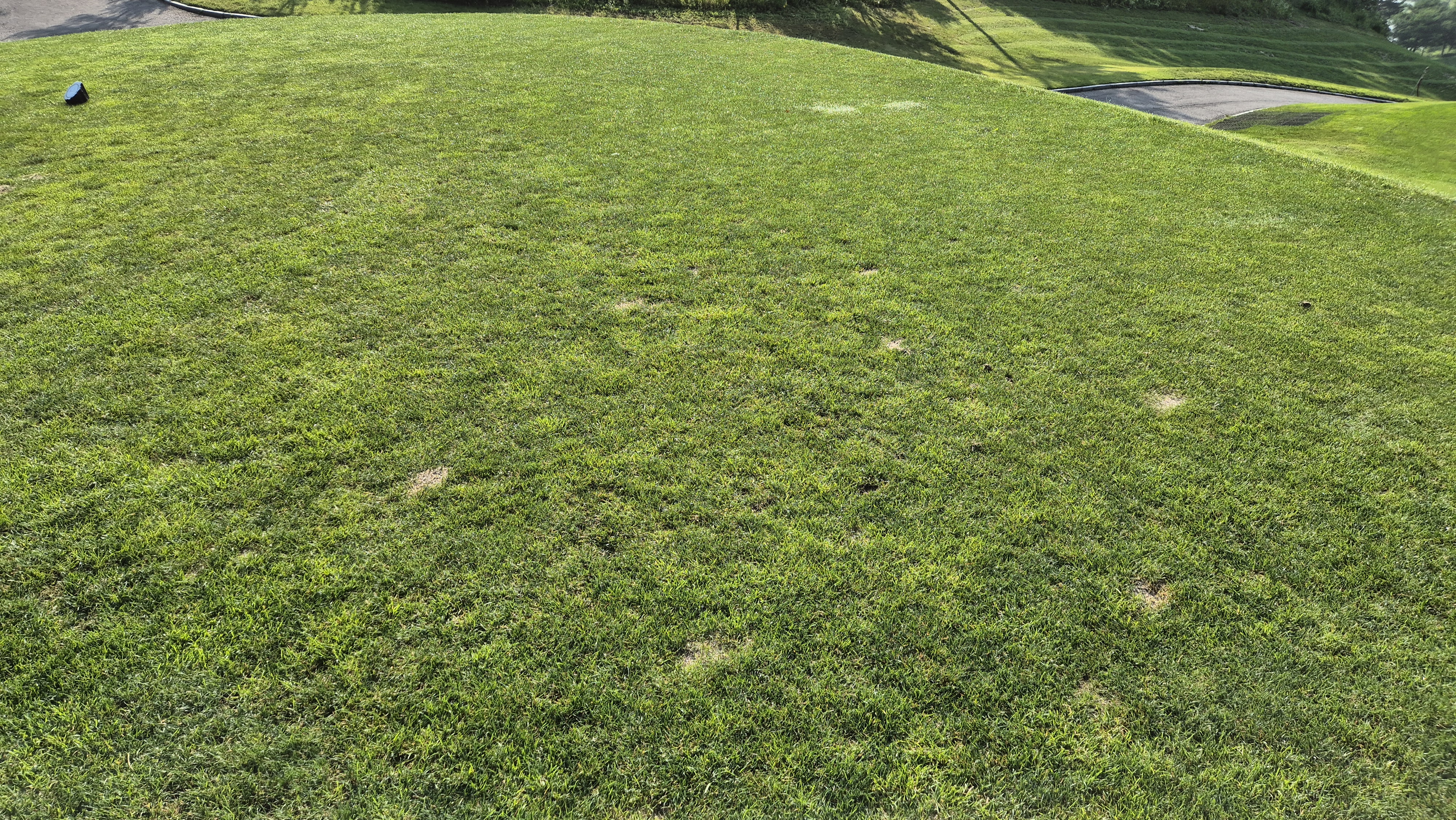 샤인데일cc 라운드 후기