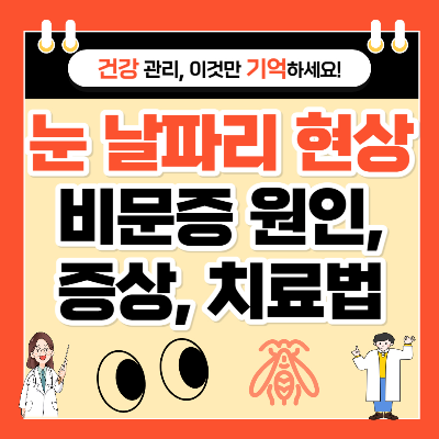 눈에 날파리 현상 비문증