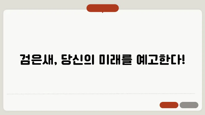 검은새 꿈을 꾼 사람들의 경험