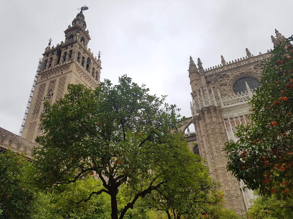 이미지-alt-태그-히랄다 탑