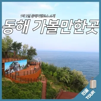 동해 가볼만한곳 맛집 추천 카페 봄 베스트 10_4