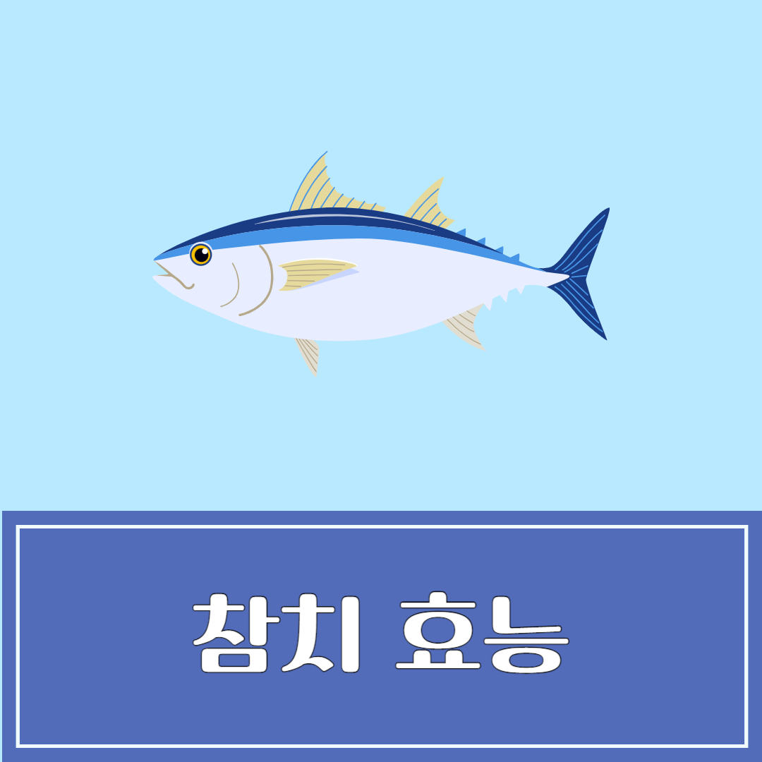 참치 효능 및 부작용