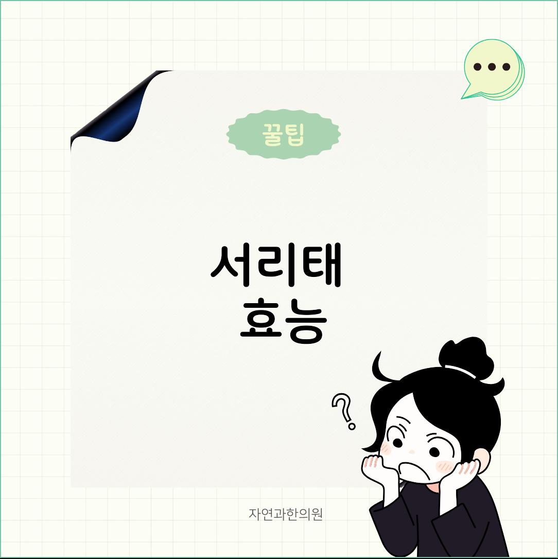 서리태 효능 식이섬유를 함께 섭취 가능해요!