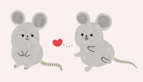추파
