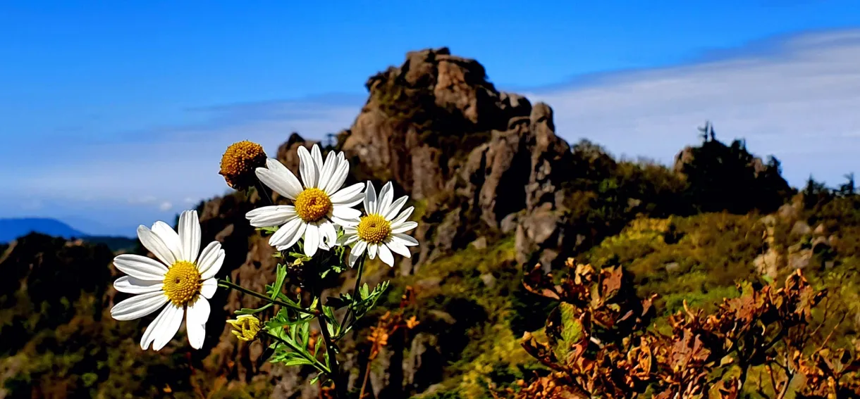 지리산 가을 마중 산행