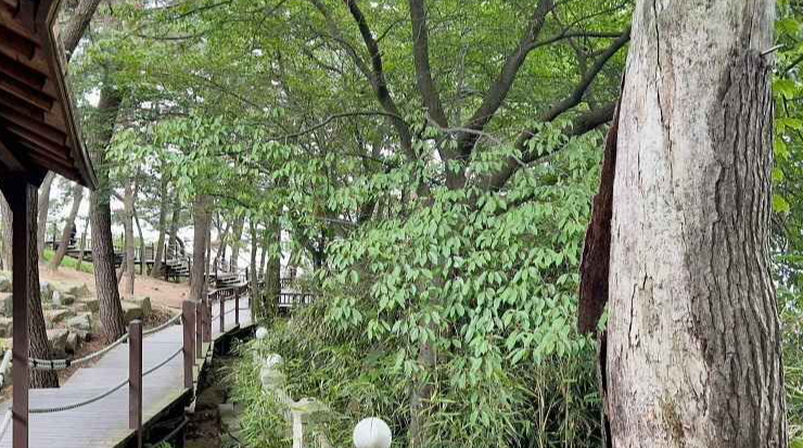 대천 가볼만한곳 베스트10