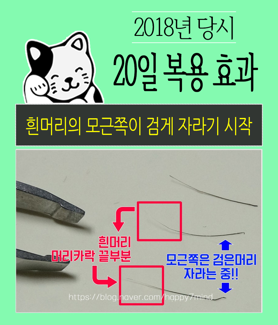 2018년하수오리뷰사진