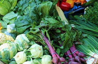 다양한 종류의 봄 제철 나물