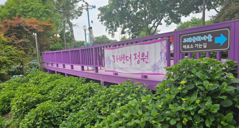 고래마을 수국축제