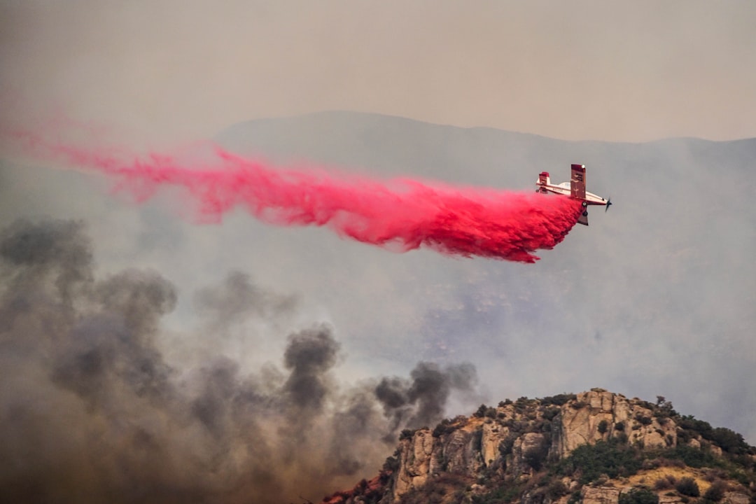 Wildfire
