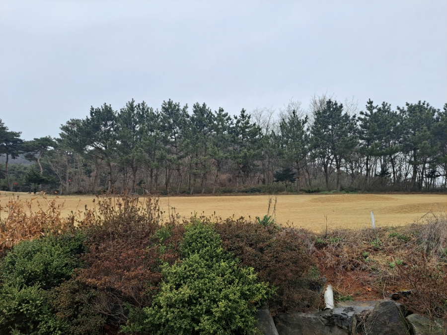 충청남도 대산전원파크골프장 소개