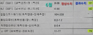 간수치-6월-결과