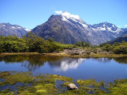 뉴질랜드의 ‘4일 근무제 실험’: 생산성은 올라갔을까?