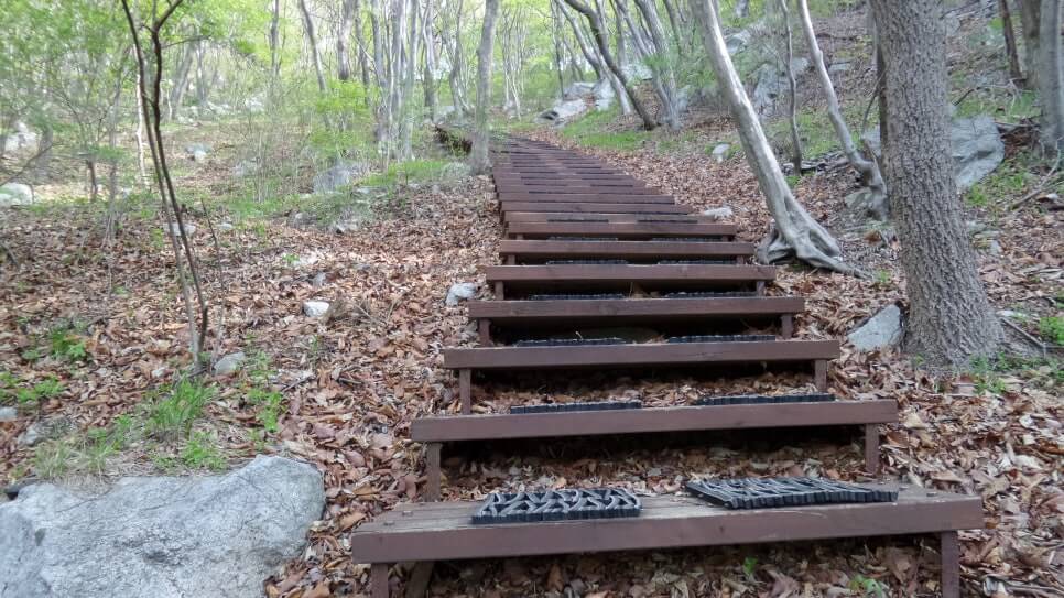 100대 명산 등산하기 서른일곱번째 공주 계룡산 신비와 전설의 봉우리 20여 개 봉우리 계곡 고찰이 어우러진 명산