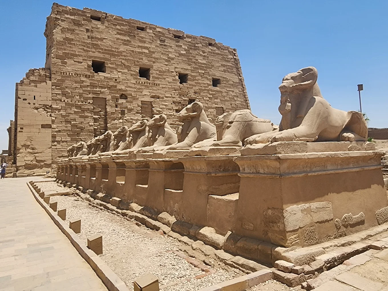 나일강크루즈 관련사진