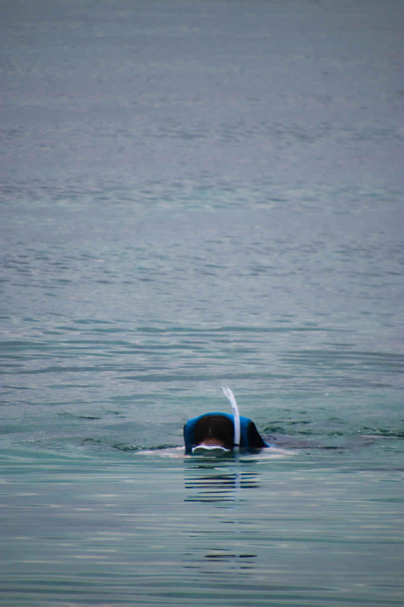 세부 시라오 가든