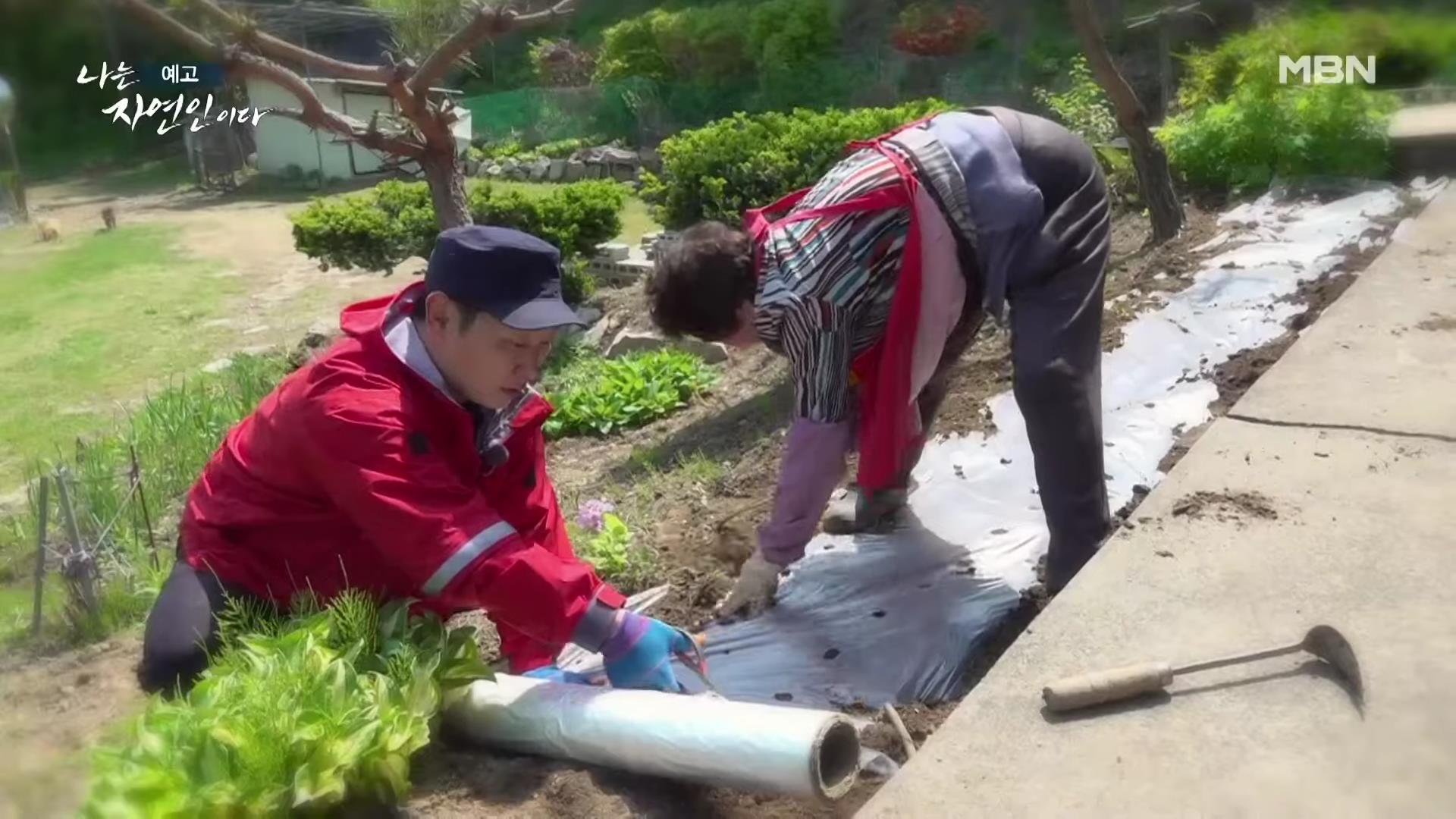 나는 자연인이다 쓰러진 막내딸 기적 만든 후 이젠 천국 떠나보낸 고마워요 엄마 자연인 구자순 소개 및 이승윤 출연 554회 다시보기
