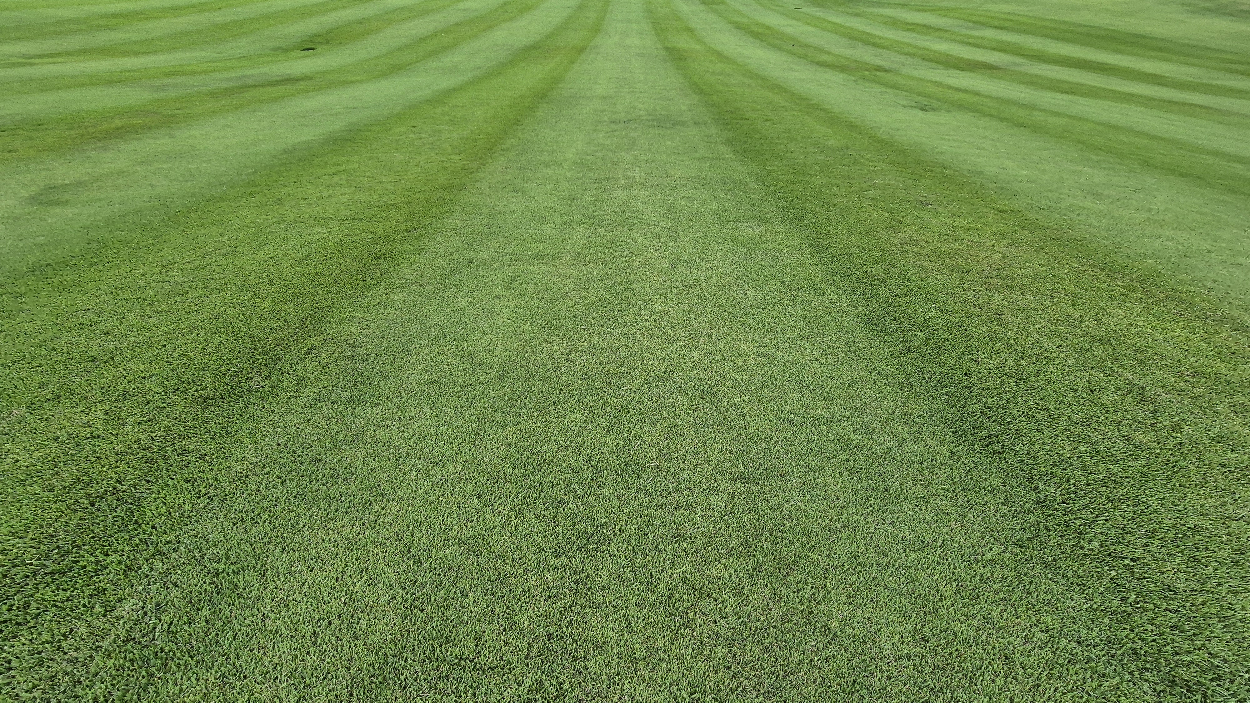 동원썬밸리cc 라운드 후기