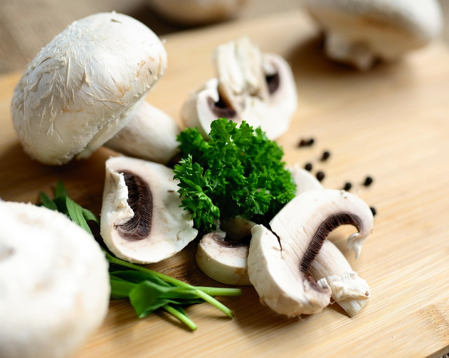 양송이버섯의 모습