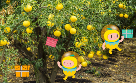 고흥유자축제 일정 프로그램 주변 맛집 숙소 교통 주차 정보