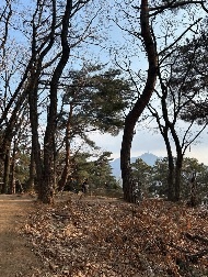 청룡산 생태숲길