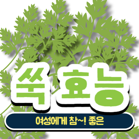 쑥 효능 및 부작용