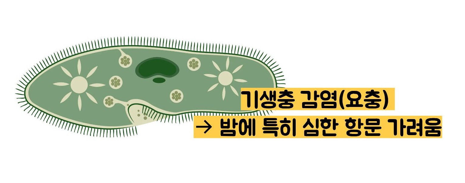 똥꼬가 가려운 이유