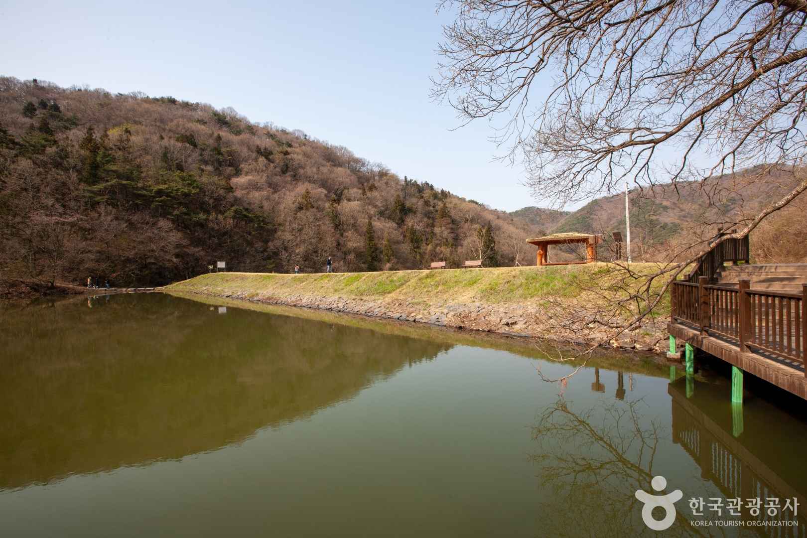 화순 세량지