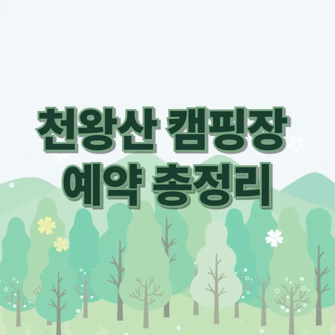 천왕산 캠핑장 완벽 가이드