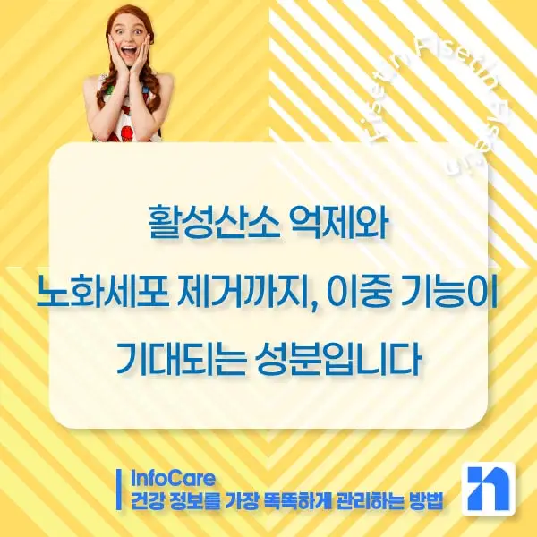 피세틴 부작용 복용법