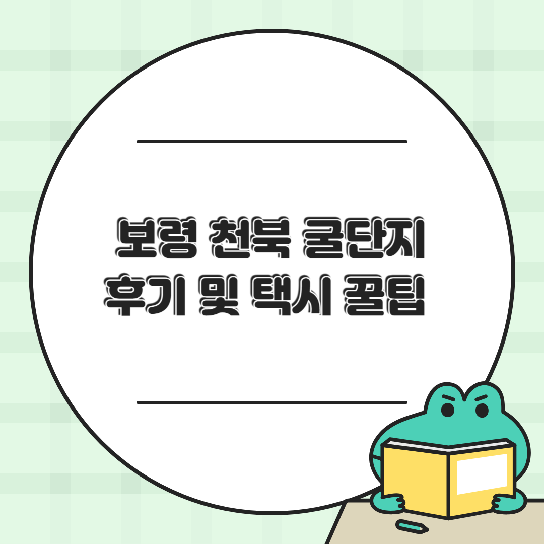 보령 천북 굴단지 후기 🦪 제철 굴찜 제대로 먹고 왔어요!(+주차,대리)