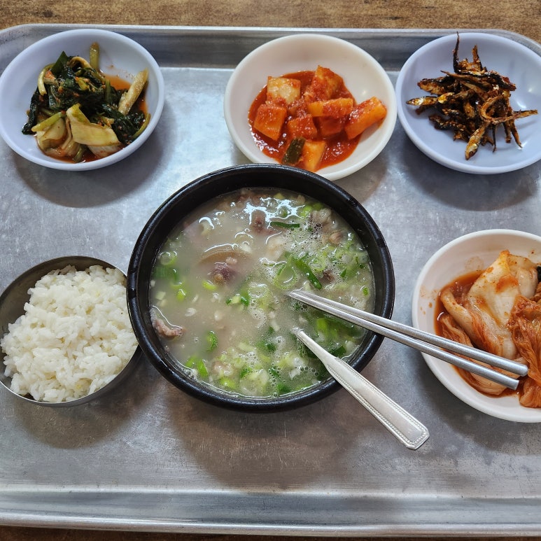 강릉맛집 철뚝소머리집 소머리국밥