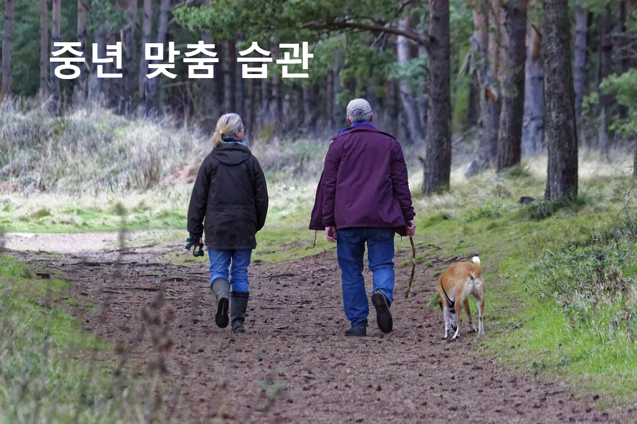 중년 맞춤 습관
