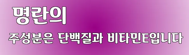  명란의 주성분은 단백질과 비타민E입니다