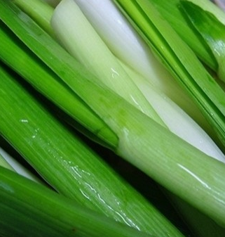 대파 효능과 부작용 고르는법